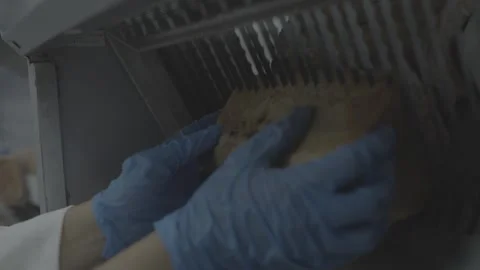 Close-up of industrial bread slicer in operation Stockbeeldmateriaal 327357246