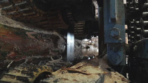 Close Up Of Industrial Forestry Machine Sawing Extra Parts Of Wooden Log Stock Footage 219506516