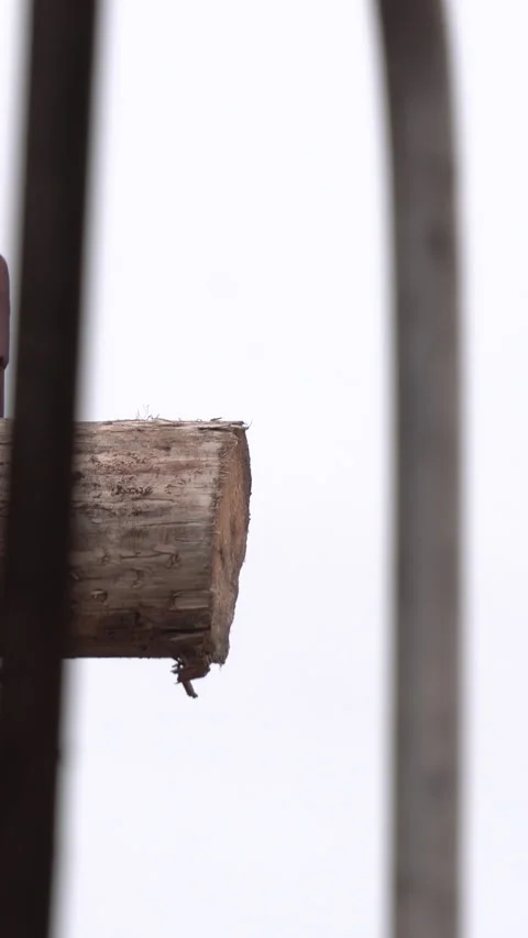 Close Up Of Industrial Log Splitter Processing Large Wood Timber Stock Footage 333405510