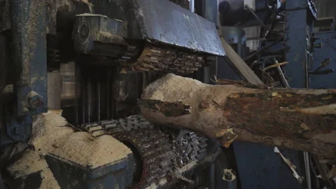 Close Up Of Industrial Machine Taking Hold Of Wooden Log For Processing Stock Footage 160092200