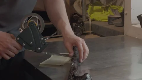 Close-up, Industrial Packaging Tasks, Delivery Shipment Consignments Vidéo 340454582
