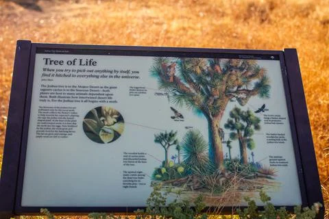 Close up of information table Tree of life for visitors in joshua tree nation Stock Photos