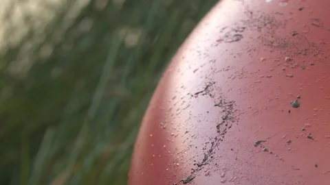 Close-up of an Inner Tube Stock Footage 88409271