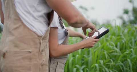 Close up of innovative farmers on tablet 库存影片 218486958
