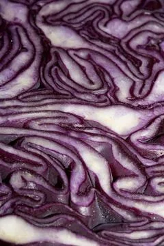 Close up of the inside detail of a red cabbage decorative Stock Photos