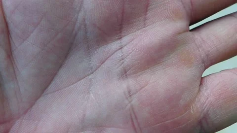 Close-up of the inside of a human hand, the shapes of the palm of a person, Stock Footage 167137147