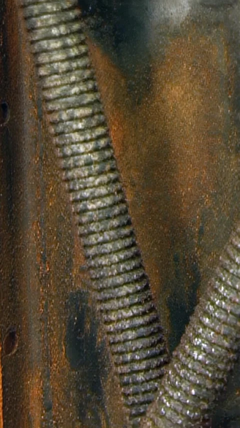 Up close inside hydro filter for indoor barbecue smoke removal 库存影片 316211950