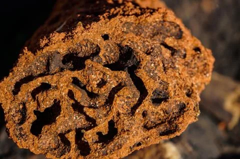 Close up of the inside of a Red termite mound, northern territory, australia Foto stock