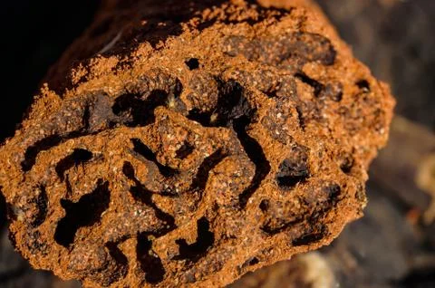 Close up of the inside of a Red termite mound, northern territory, australia Foto stock