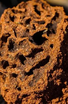 Close up of the inside of a Red termite mound, northern territory, australia Foto stock