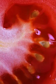 Close up of inside of tomato Stock Photos