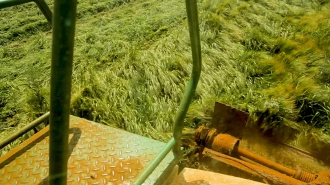 Close Up from Inside of Tractor Mowing Grass Stock Footage 113408981
