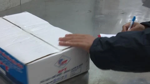 Close Up Inspector Auditing Seafood Frozen Export Carton Box Details Stock Footage 344950252