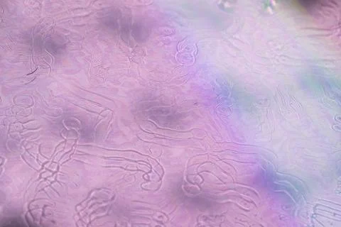 A close-up of an iridescent surface with subtle pastel shades of pink. Stock Photos