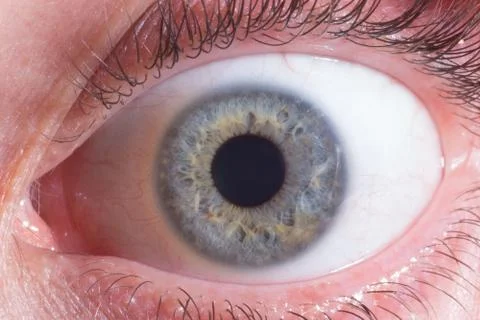Close up on the iris of the eye Stock Photos