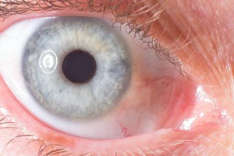 Close up on the iris of the eye 스톡 사진