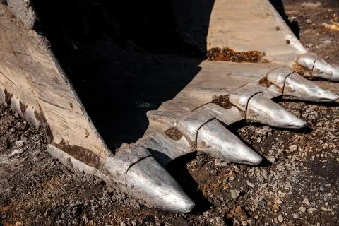 Close up of iron teeth loader excavator bucket with parts of soil Stock Photos