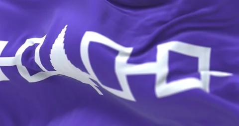 Close-up of Iroquois flag waving in the wind Stock Footage 299620053