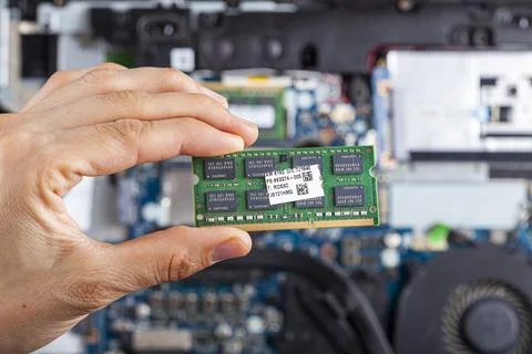 Close up isolated image showing an it technician or a consumer holding ram ca 写真素材