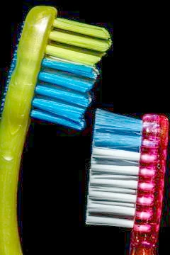 Close up isolated image of two toothbrushes facing each other. Stock Photos