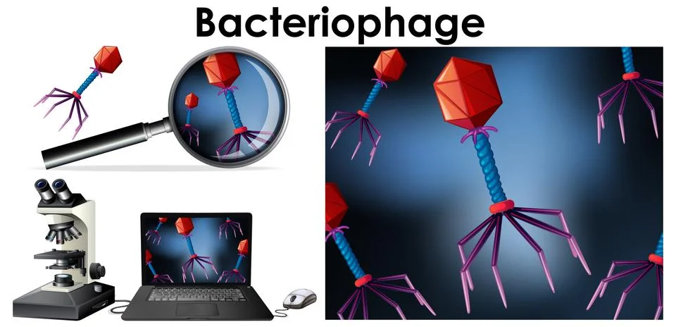 Close up isolated object of virus Bacteriophage Stock Illustration