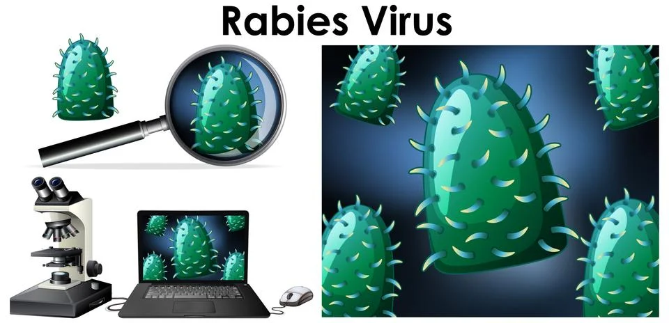 Close up isolated object of virus name Rabies virus Stock Illustration