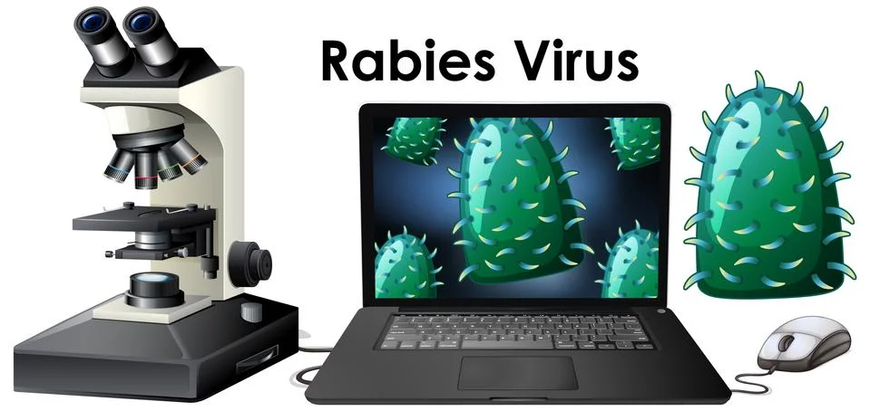 Close up isolated object of virus named Rabies virus Stock Illustration