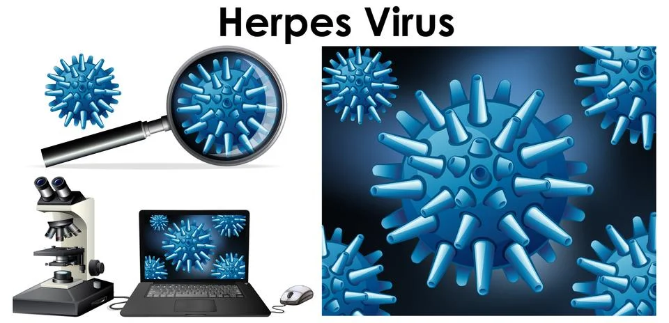 Close up isolated object of virus named Herpes virus Stock Illustration