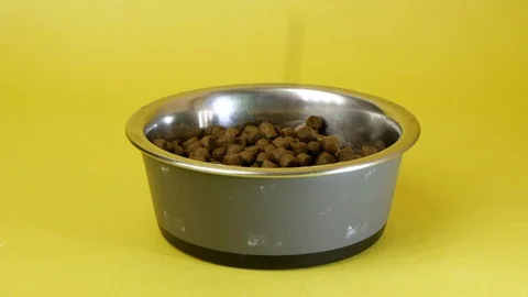Close up isolated on yellow background of dry pet food or kibble being poured Stock Footage 127951763