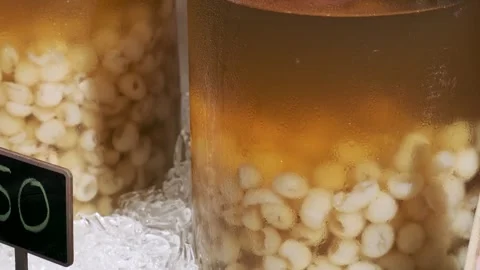 Close-up of a jar filled with white lotus seeds in syrup on iced display at Stock Footage 284342202