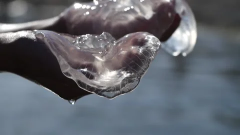 Close-up of jellyfish lying on their hands Vídeos de archivo 132295140