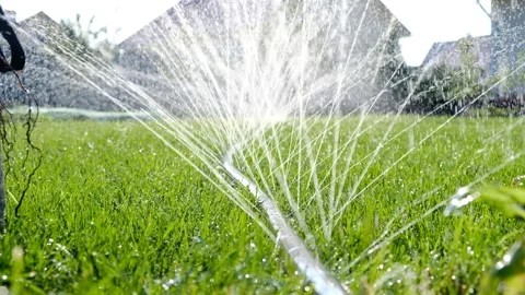 Close-up of jets and splashes, watering the lawn with a hose. Stock Footage 246029710