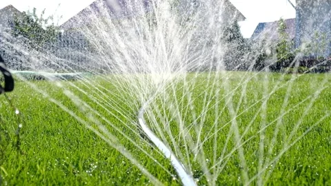 Close-up of jets and splashes, watering the lawn with a hose. Stock Footage 246029712