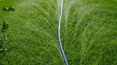 Close-up of jets and splashes, watering the lawn with a hose. Stock Footage 246029713