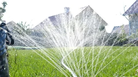 Close-up of jets and splashes, watering the lawn with a hose. Stock Footage 246029714