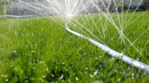Close-up of jets and splashes, watering the lawn with a hose. Stock Footage 246029722