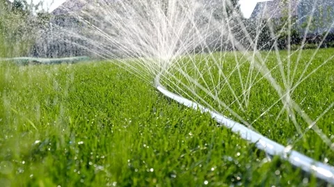 Close-up of jets and splashes, watering the lawn with a hose. Stock Footage 246029734
