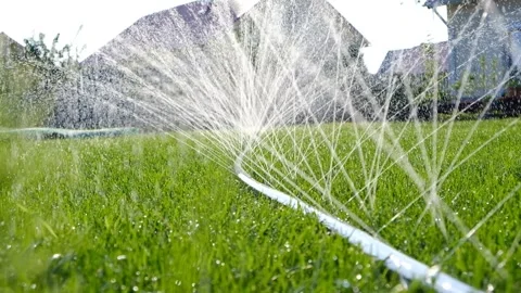 Close-up of jets and splashes, watering the lawn with a hose. Stock Footage 246029737