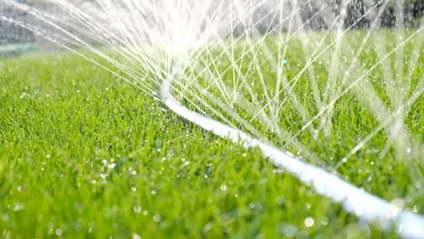 Close-up of jets and splashes, watering the lawn with a hose. Stock Footage 246029738