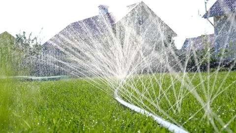 Close-up of jets and splashes, watering the lawn with a hose. Vidéo 246029739