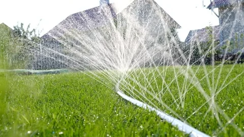 Close-up of jets and splashes, watering the lawn with a hose. Stock Footage 246029740
