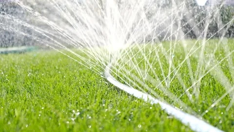 Close-up of jets and splashes, watering the lawn with a hose. Stock Footage 246029743