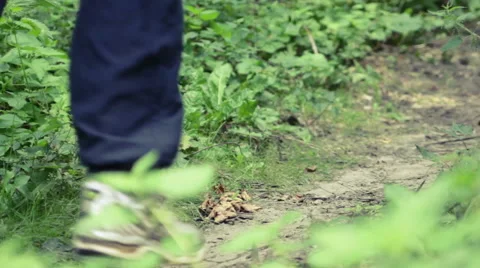 Close-up on jogging shoes Stock Footage 41096331