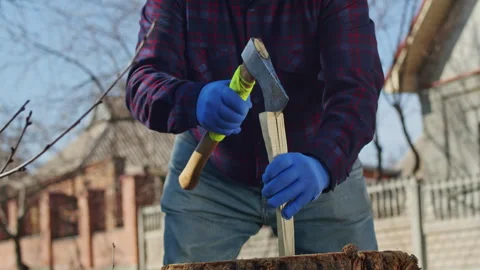 Close up, Join this wise old man and his family as they work together to harvest Stock Footage 241527385