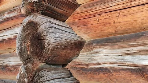 Close-up of joint made of stacked round logs on old building wall under bright Stockbeeldmateriaal 318002068