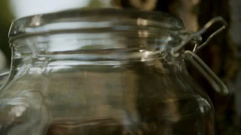 Close-up of a juice cable falling into a glass jar. Birch sap Stock Footage 266991285