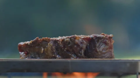 Close up of juicy beef steak fried on fire coals on iron grill in flame of smoke Stock Footage 271626942