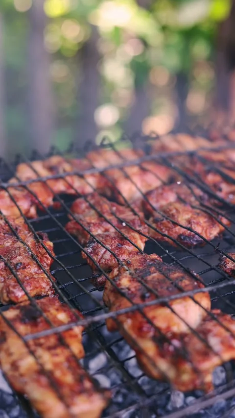 Close-up of juicy meat grilling over hot coals in an outdoor setting Stock Footage 340264019