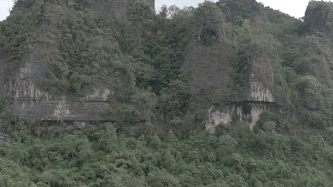 Close up of karst mountain with full of trees Stock Footage 312948887