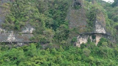 Close Up of Karst Mountain with Full of Trees Stock Footage 312949043
